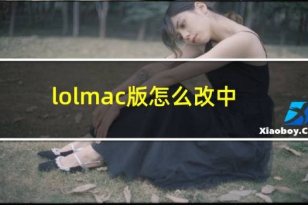 lolmac版怎么改中文