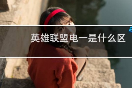 英雄联盟电一是什么区