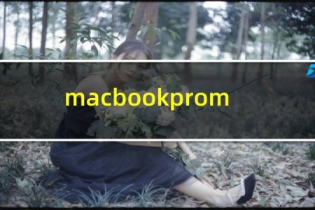 macbookprom1能玩lol吗